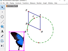 几何画板怎么制作蝴蝶动画？几何画板制作蝴蝶动画的方法
