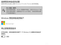 微软宣布Windows 11 Insider Build 22000.100预览版Beta频道更新！