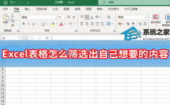 Excel表格怎么筛选出自己想要的内容?