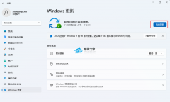 Win11 21H2如何升级22H2？Win11 21H2升级22H2详细方法