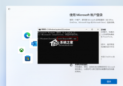 Win11跳过联网激活_最新版Win11 22H2跳过联网激活教程