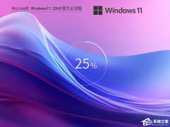 Win11 23H2更新失败错误代码0x8007000D的解决方法