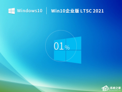 Win10长期服务版下载推荐